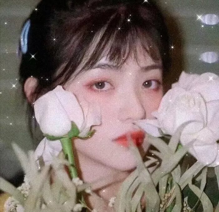 珠帘玉幕